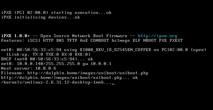 VMware using an iPXE ROM